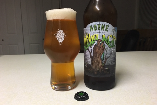 Hoyne Brewing