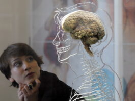 Nicole Briggs at "The Real Brain Exhibit."